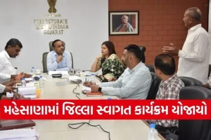 Mehsana District Swagat Grievance Redressal Gujarat Collector Meeting 1