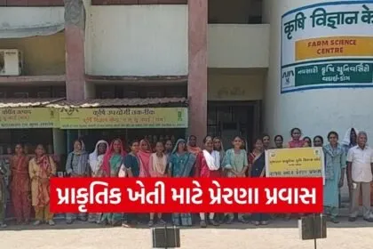 Uchchhal Farmers Natural Farming Exposure Visit Navsari University 1