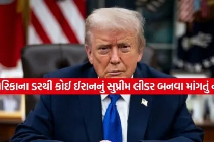 Trump 2503 2