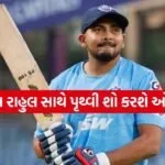 Prithvi Shaw 2503