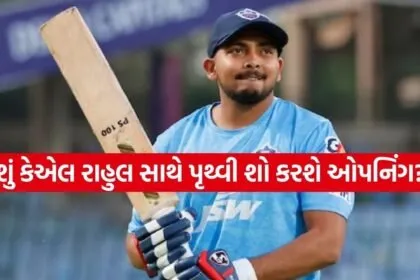 Prithvi Shaw 2503