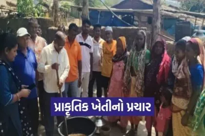 Natural Farming India PM Modi Beejamrut Jeevamrut Organic Agriculture