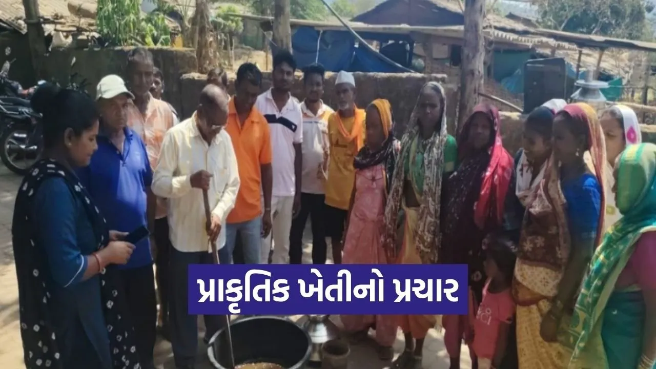 Natural Farming India PM Modi Beejamrut Jeevamrut Organic Agriculture.jpg