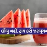 Watermelon Shikanji