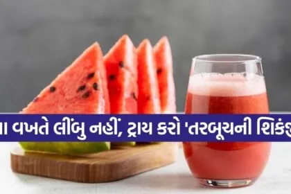 Watermelon Shikanji