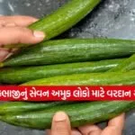 dharmishtha 1 8