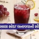 grapes masala soda
