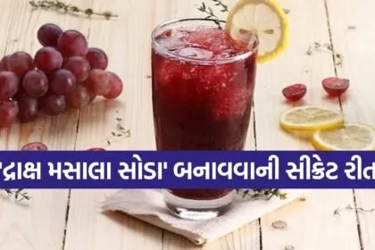 grapes masala soda