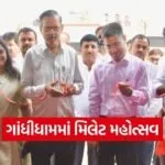 Gandhidham Millet Festival Natural Farming Market Kutch 1