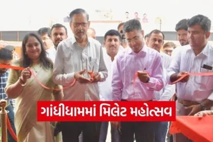 Gandhidham Millet Festival Natural Farming Market Kutch 1