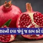 pomegranate 2503 1