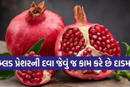 pomegranate 2503 1