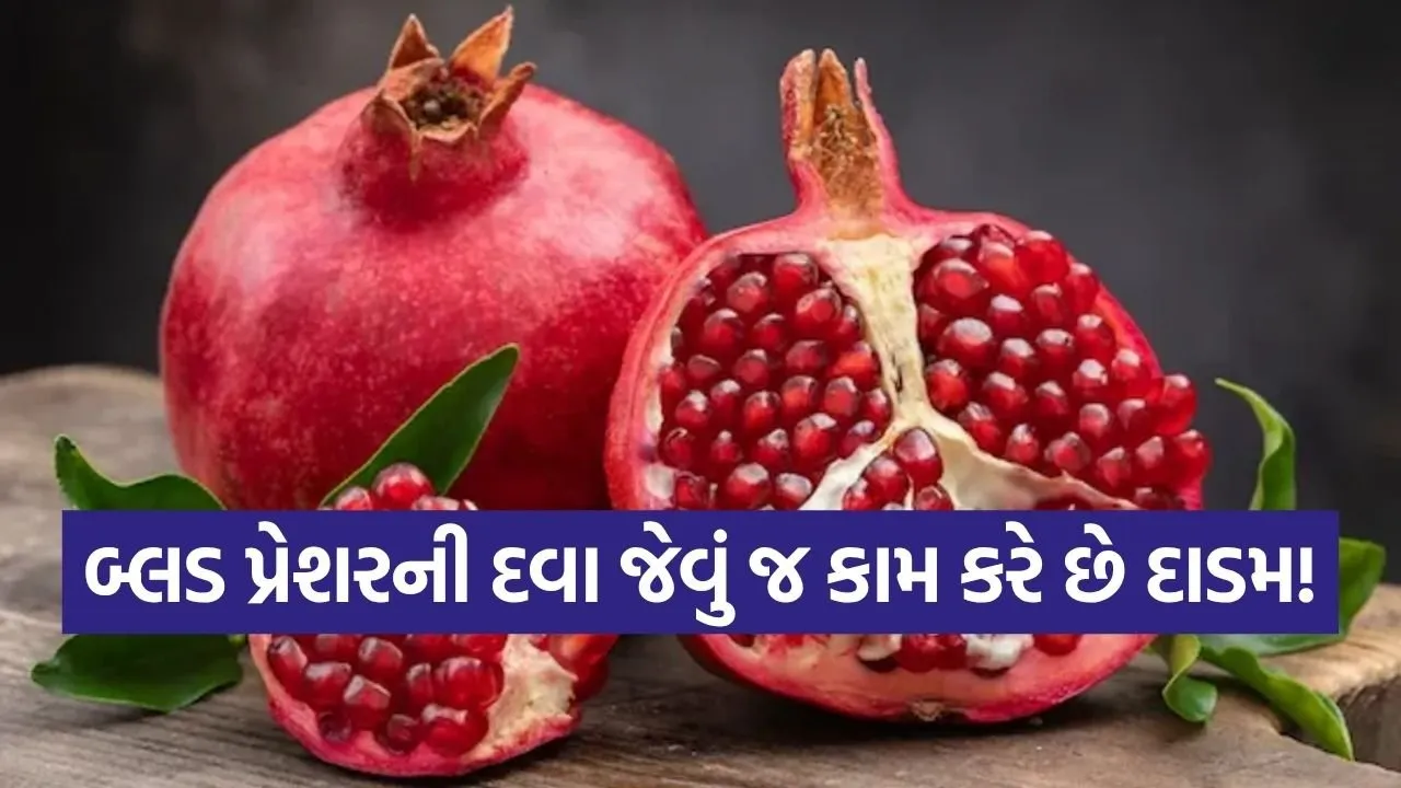 pomegranate 2503 1.jpg