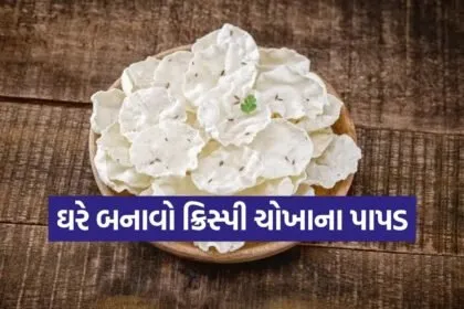 Rice Papad