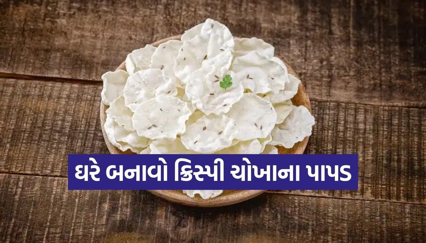 Rice Papad