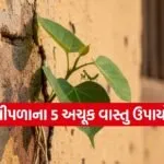 Peepal Tree Vastu Tips