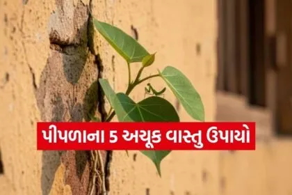 Peepal Tree Vastu Tips
