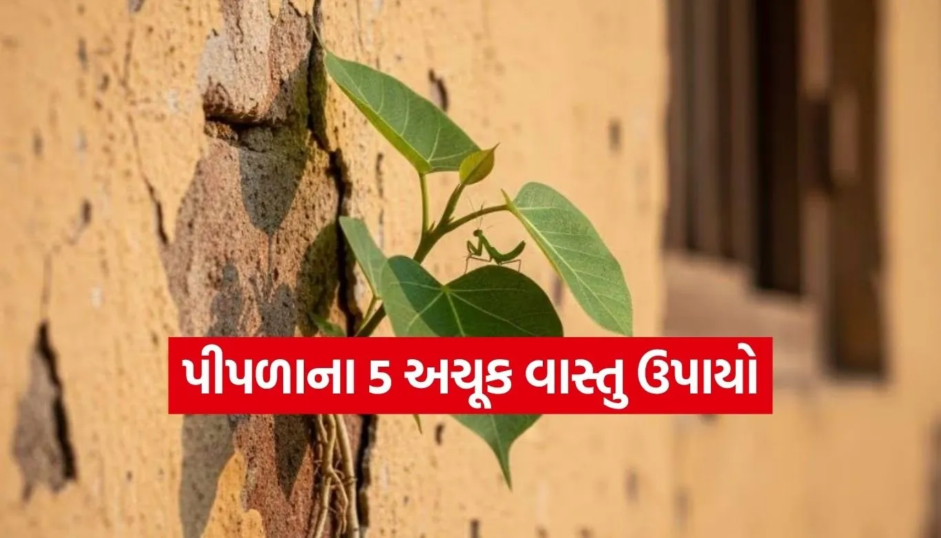 Peepal Tree Vastu Tips