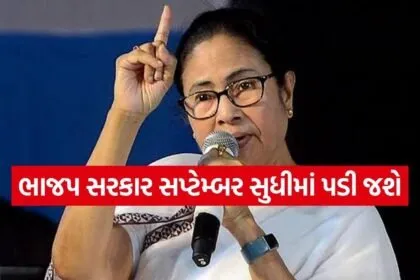 Mamata 2703