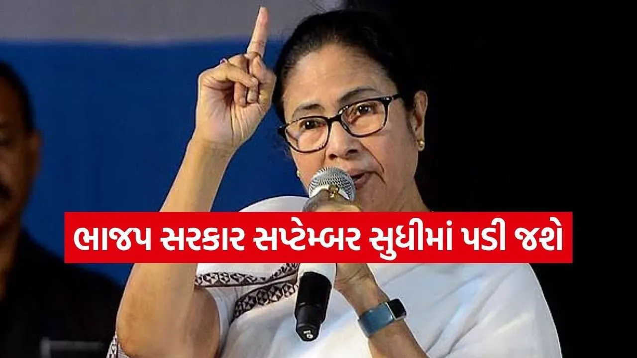 Mamata 2703.jpg