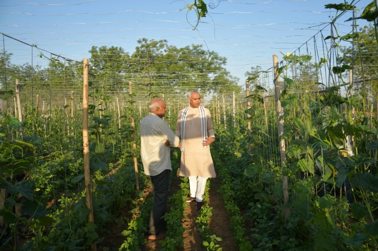રાજ્યપાલ આચાર્ય દેવવ્રતજીએ વડોદમાં પ્રગતિશીલ ખેડૂતના પ્રાકૃતિક ફાર્મની મુલાકાત લીધી 3 Gujarat Governor Natural Farming Visit Vadod Village 1.jpeg