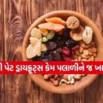 Dryfruit 2703