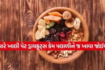 Dryfruit 2703