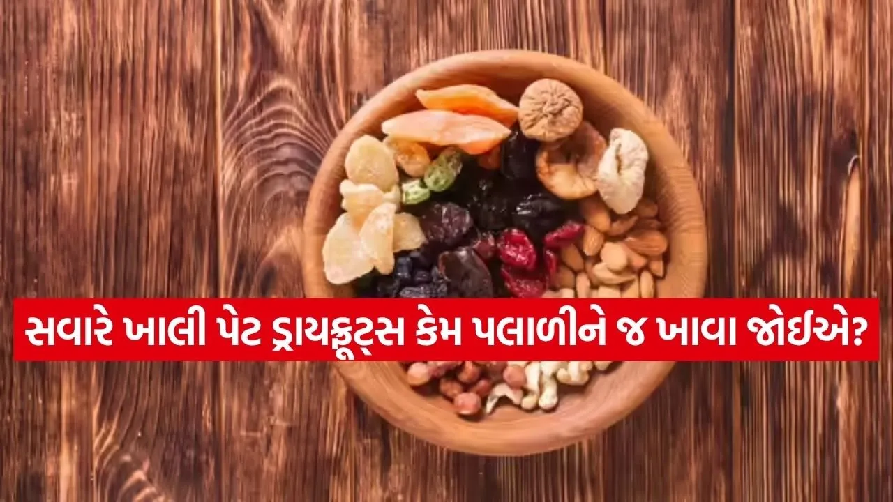 Dryfruit 2703.jpg