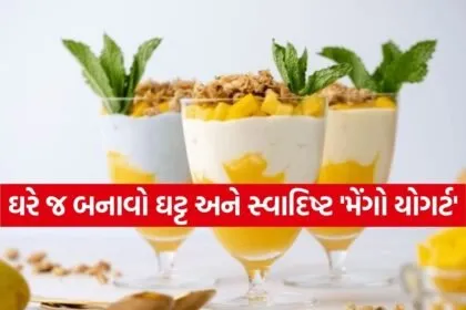 Mango Yogurt 2703