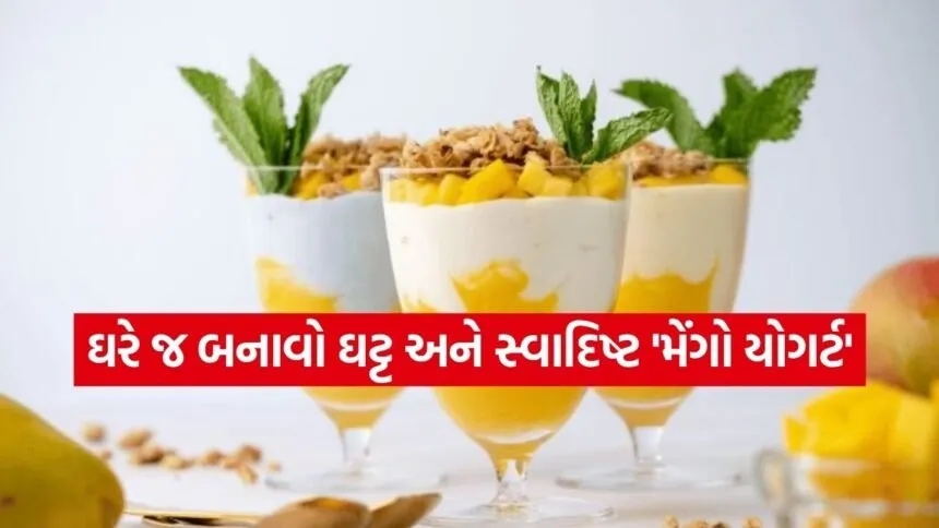 Mango Yogurt 2703