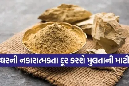 Multani Mitti