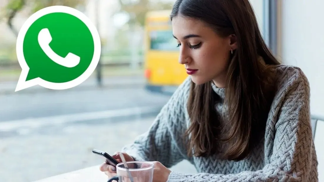 WhatsApp યુઝર્સ સાવધાન! તરત જ એપ અપડેટ કરો, નહીં તો હેકર્સ કરી શકે છે એટેક 2 WhatsApp