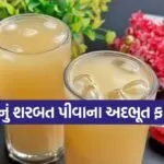 Sattu Sharbat