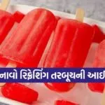 Watermelon Ice Cream
