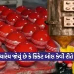 dharmishtha 1 21