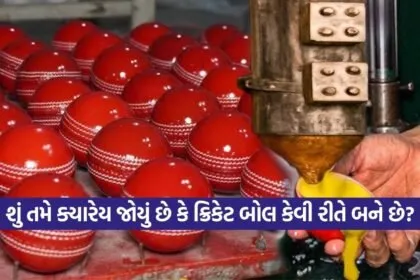 dharmishtha 1 21