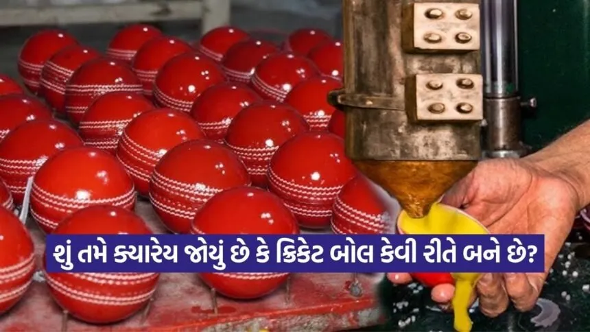 dharmishtha 1 21