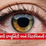 Dharmishtha 13