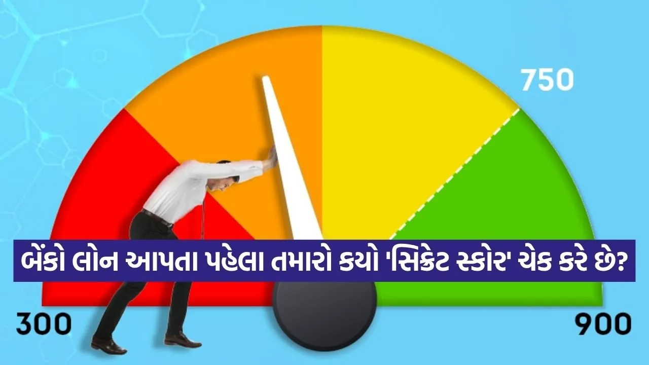 INDIA 1 54.jpg