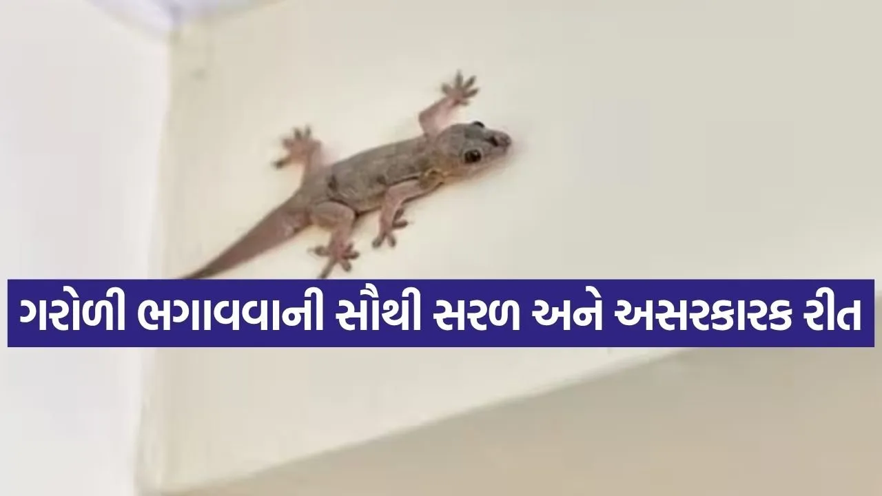 INDIA 1 59.jpg