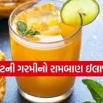 Bael Juice 2703