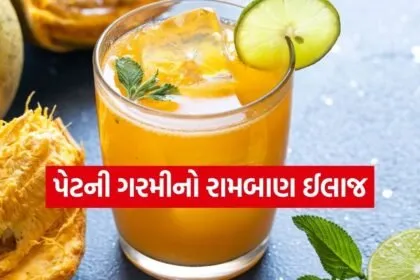 Bael Juice 2703
