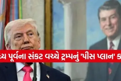 trump 2703
