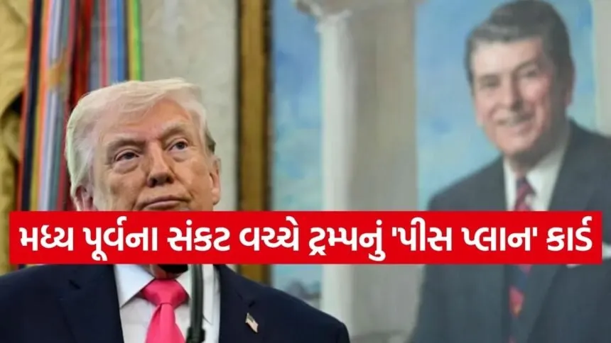 trump 2703