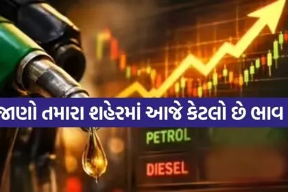 Petrol 2703