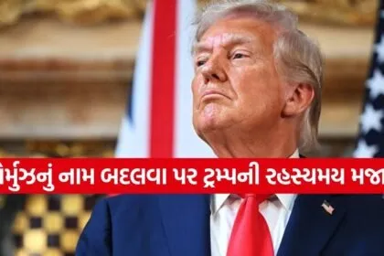 trump 2703 1