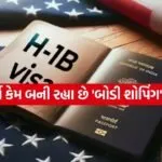 H 1B 3003