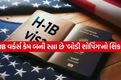 H 1B 3003