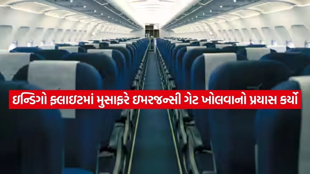 Indigo 3003.jpg