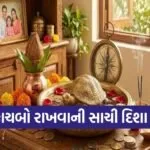 Vastu tips for tortoise